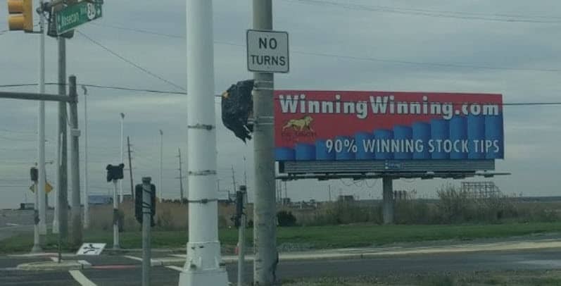 WinningWinning.com